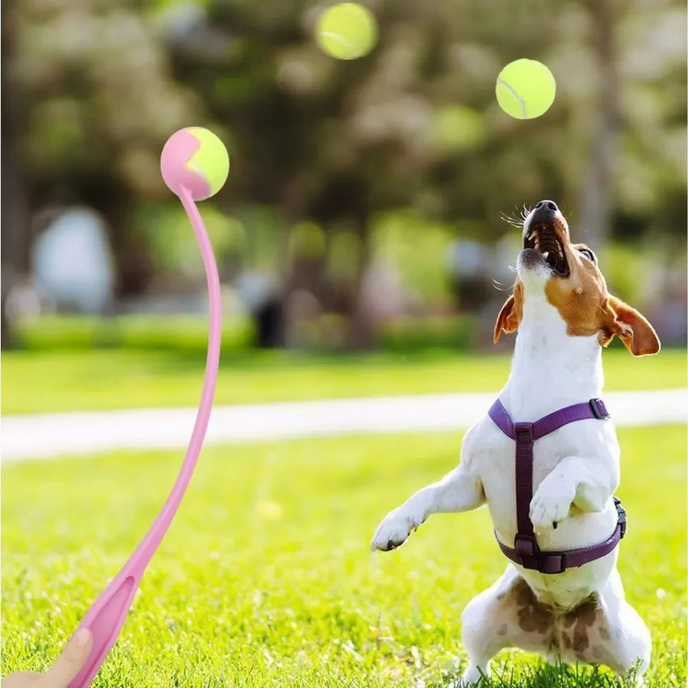 Pet Throwing Stick, Throwing Device, Throwing Toy, Dog And Cat Interactive Ball Picking Pet Toy Training Toys Pet Supplies