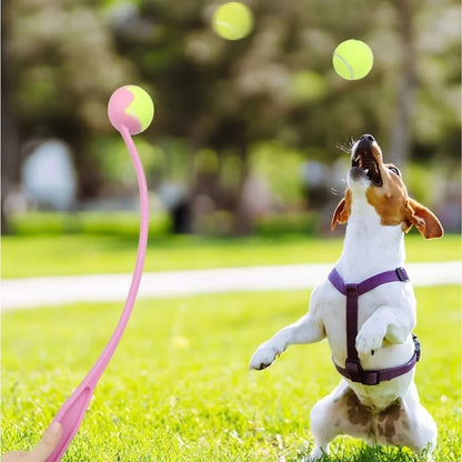 Pet Throwing Stick, Throwing Device, Throwing Toy, Dog And Cat Interactive Ball Picking Pet Toy Training Toys Pet Supplies
